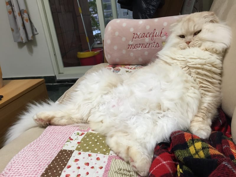 IMG_3472.jpg IMG_3472.jpg