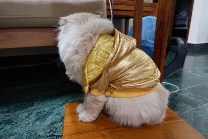 DSC06555.JPG DSC06555.JPG