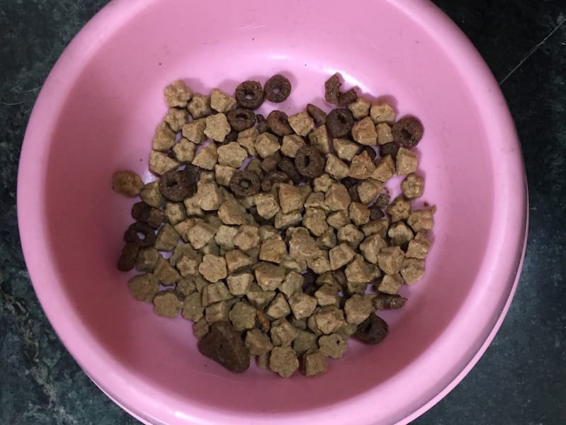 IMG_8995.jpg IMG_8995.jpg