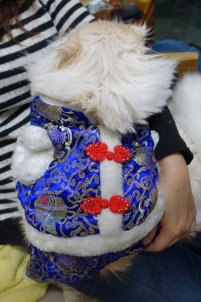 DSC06583.JPG DSC06583.JPG