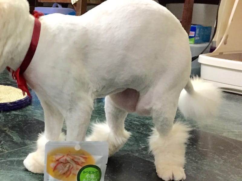 IMG_9758.jpg IMG_9758.jpg