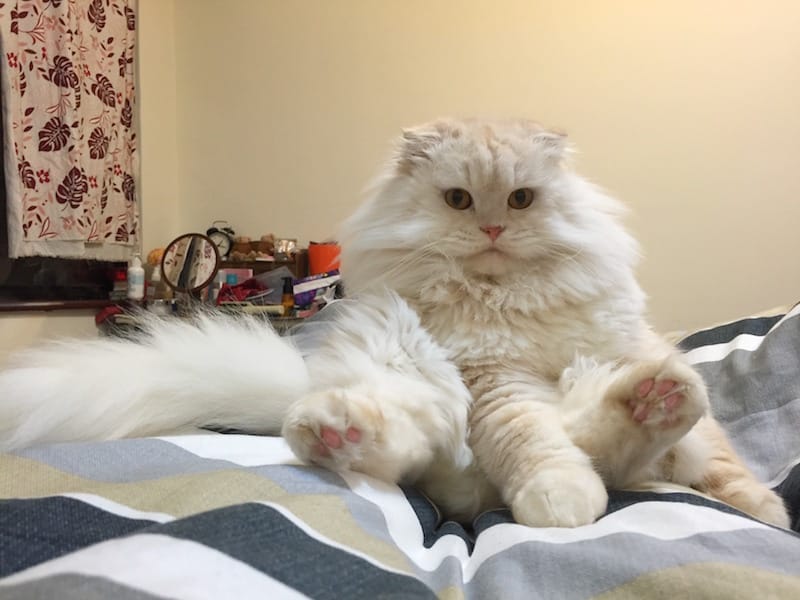 IMG_3541.jpg IMG_3541.jpg