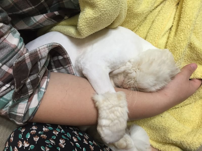 IMG_3918.jpg IMG_3918.jpg