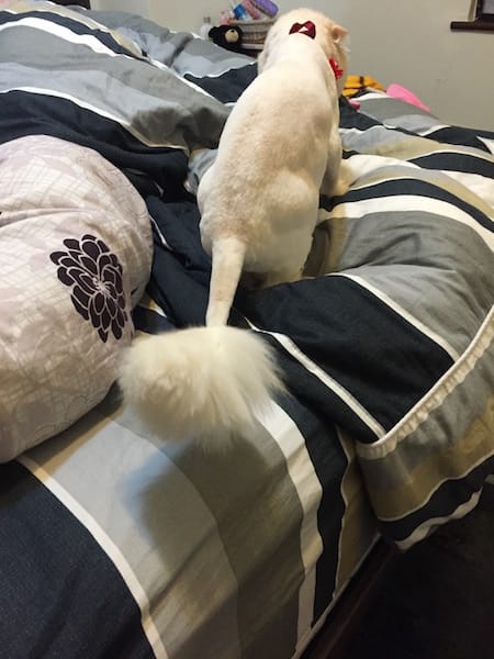 IMG_9792.jpg IMG_9792.jpg