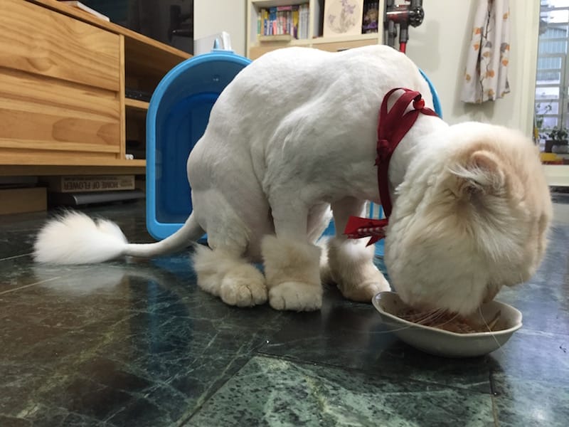 IMG_3865.jpg IMG_3865.jpg