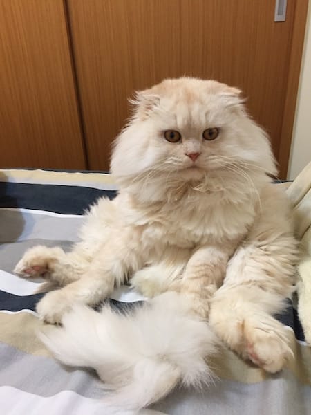 IMG_3422.jpg IMG_3422.jpg