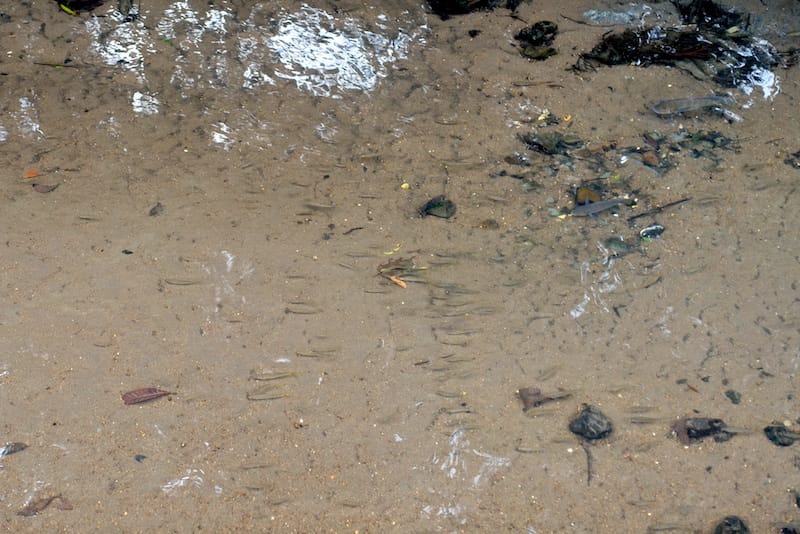 DSC07665.JPG DSC07665.JPG