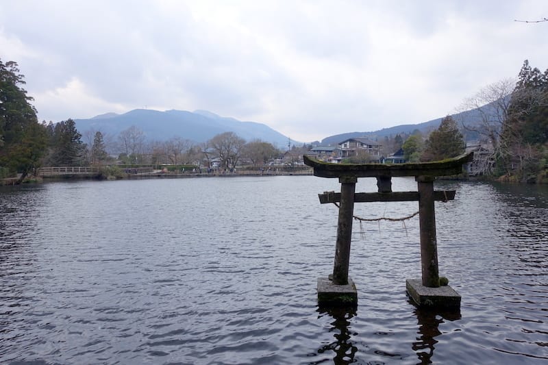 DSC07680.JPG DSC07680.JPG