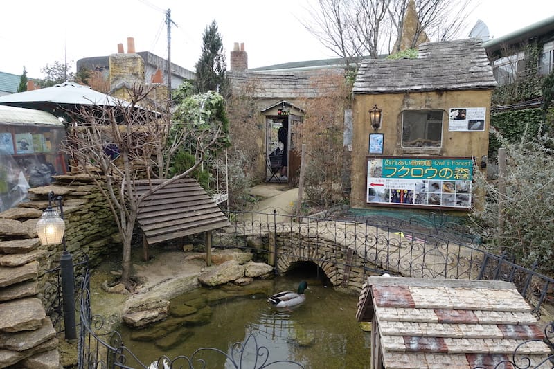 DSC07661.JPG DSC07661.JPG