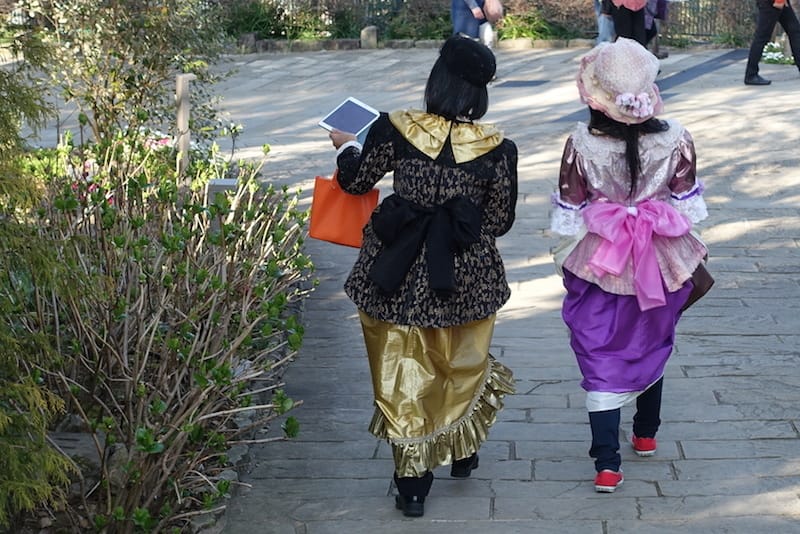 DSC08238.JPG DSC08238.JPG