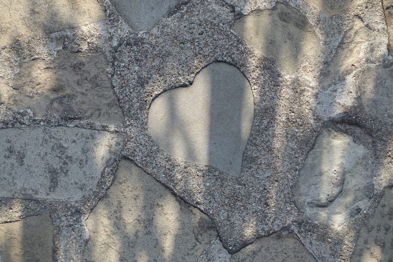 DSC08286.JPG DSC08286.JPG