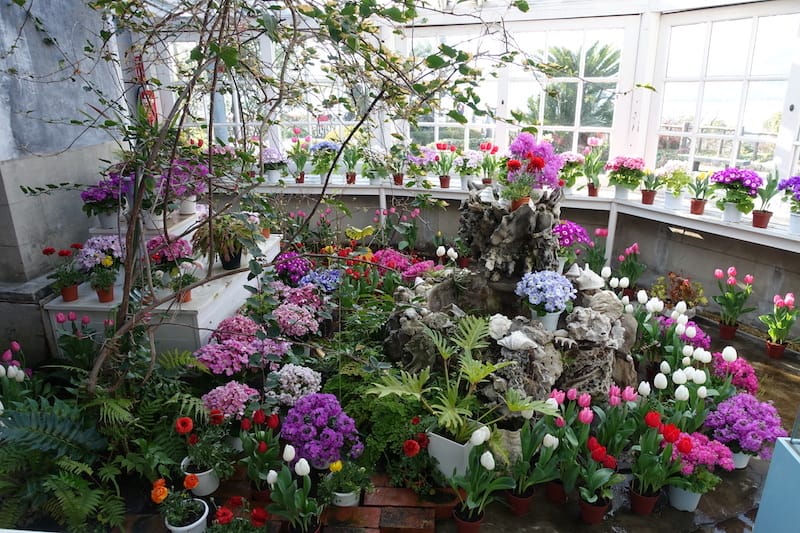 DSC08308.JPG DSC08308.JPG