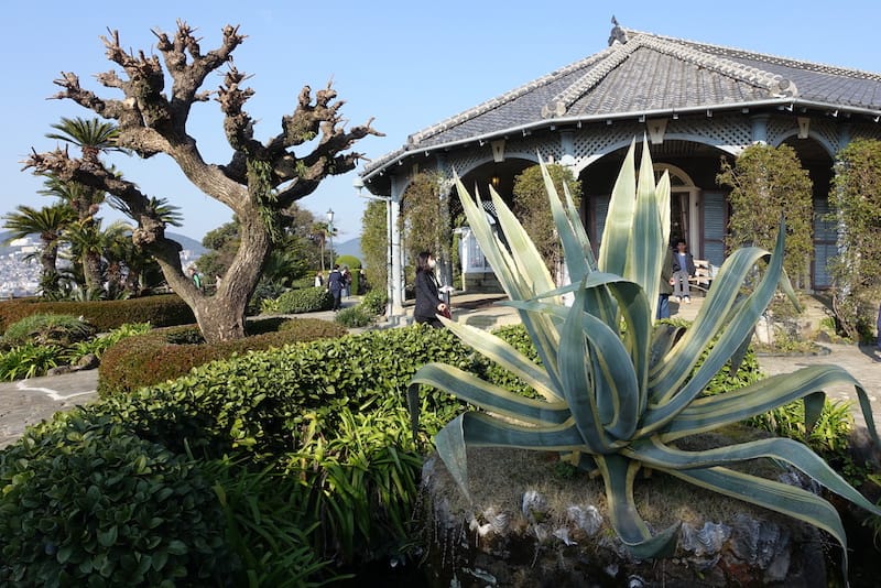 DSC08284.JPG DSC08284.JPG