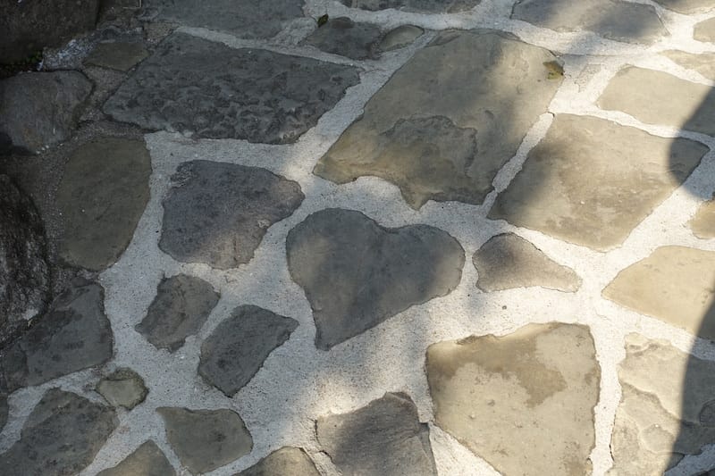 DSC08323.JPG DSC08323.JPG