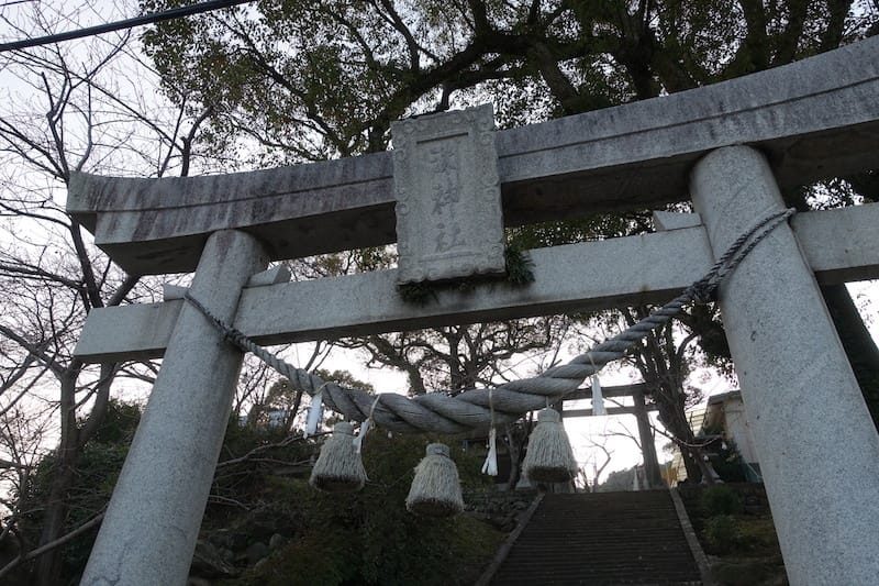 DSC08389.JPG DSC08389.JPG