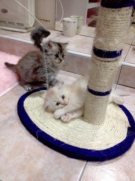 2014.05.03.jpg 2014.05.03.jpg