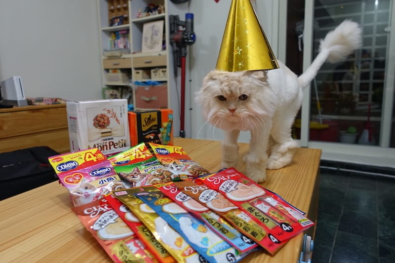 DSC00263.JPG DSC00263.JPG