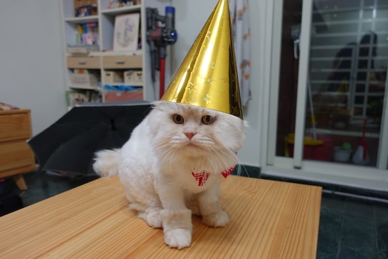 DSC00243.JPG DSC00243.JPG