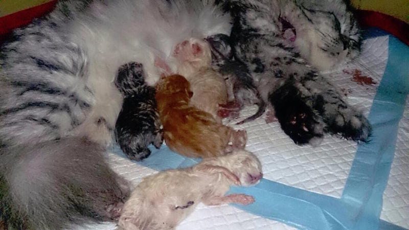 2014.03.17.jpg 2014.03.17.jpg