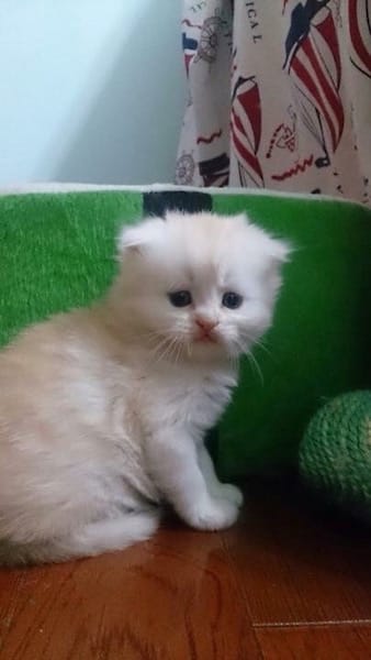 IMG_0529.jpg IMG_0529.jpg