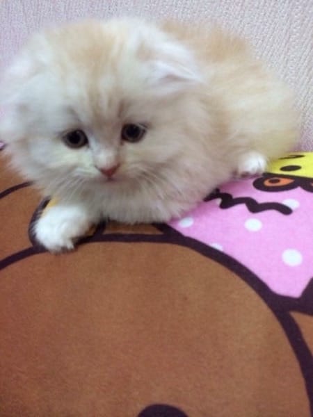 IMG_0528.jpg IMG_0528.jpg