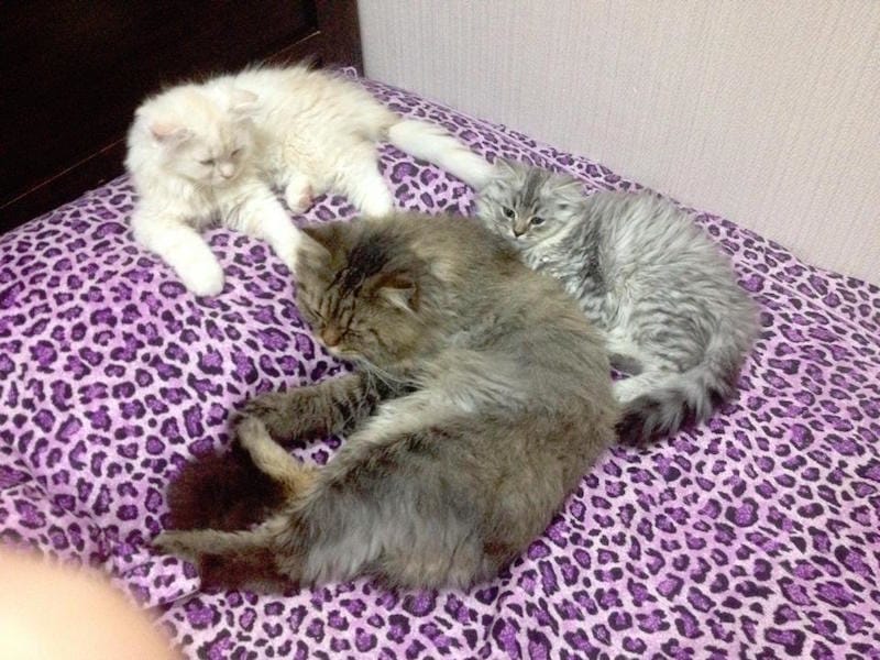 2014.06.22.jpg 2014.06.22.jpg