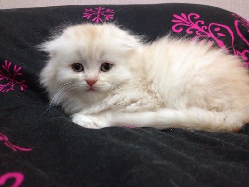 IMG_0647.jpg IMG_0647.jpg