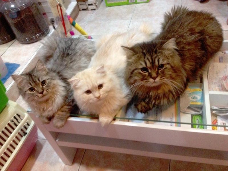 2014.08.14.jpg 2014.08.14.jpg