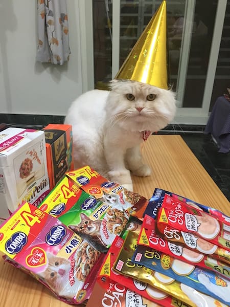 IMG_4520.jpg IMG_4520.jpg