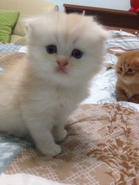 IMG_0533.jpg IMG_0533.jpg