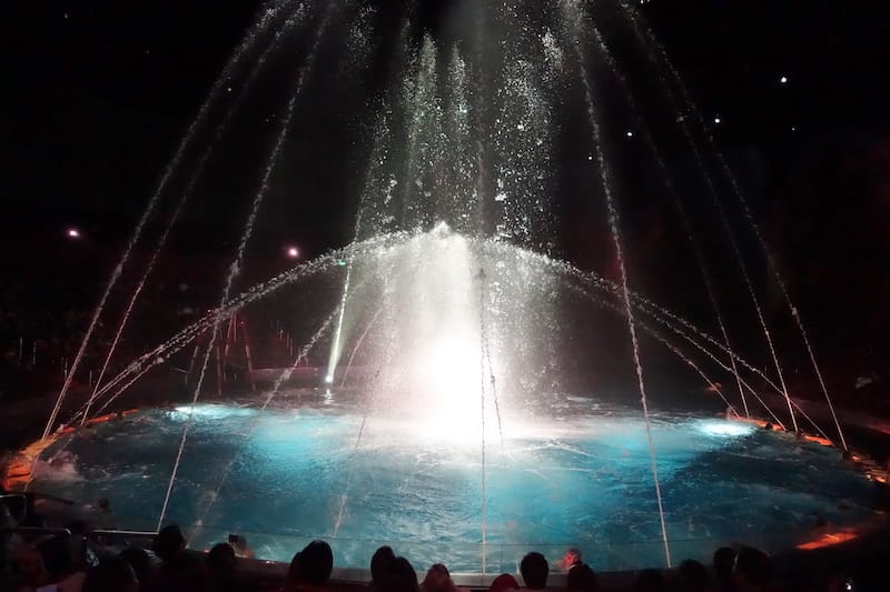 DSC01572.JPG DSC01572.JPG