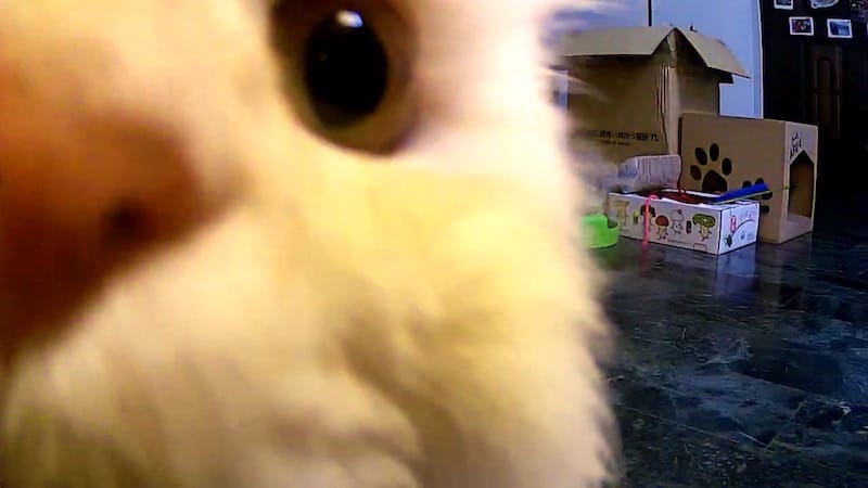 IMG_0249.jpg IMG_0249.jpg