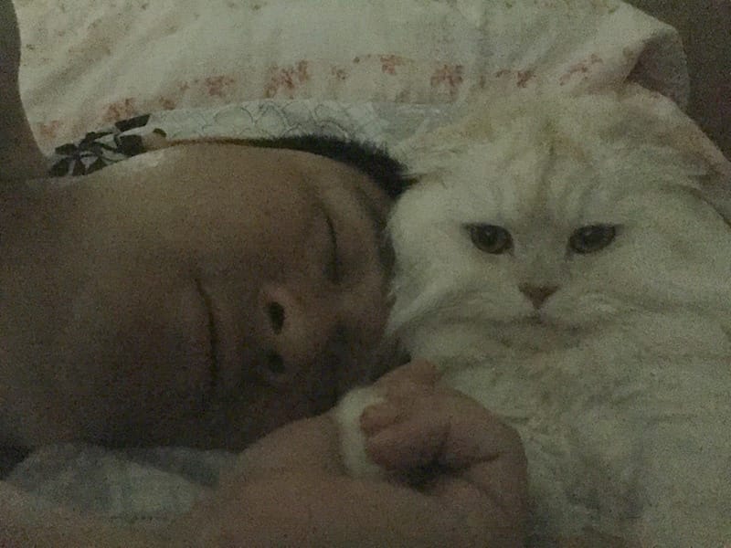 LDXR7454.jpg LDXR7454.jpg