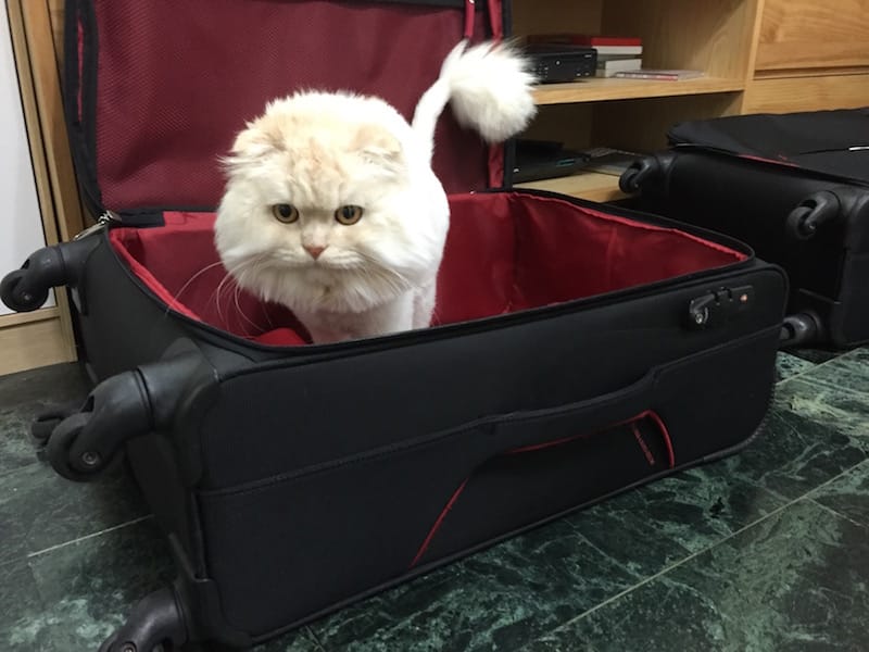 IMG_0986.jpg IMG_0986.jpg