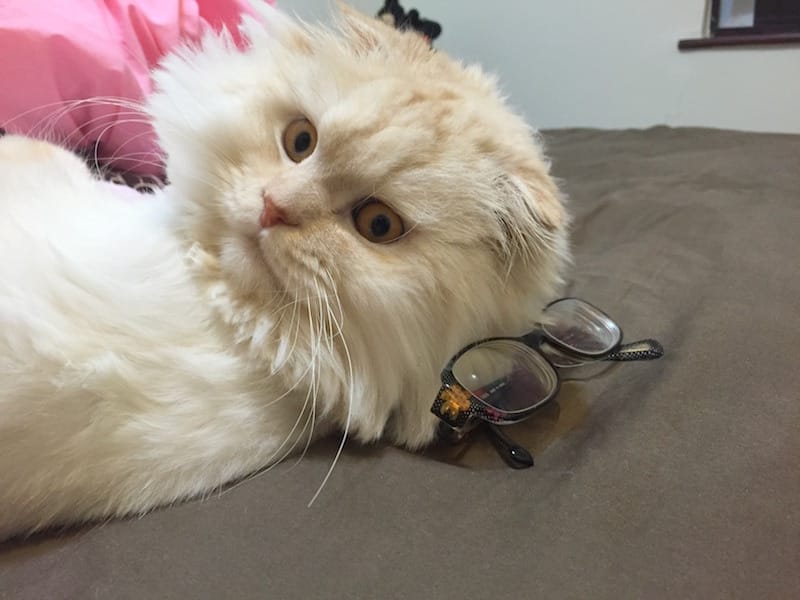 IMG_4765.jpg IMG_4765.jpg