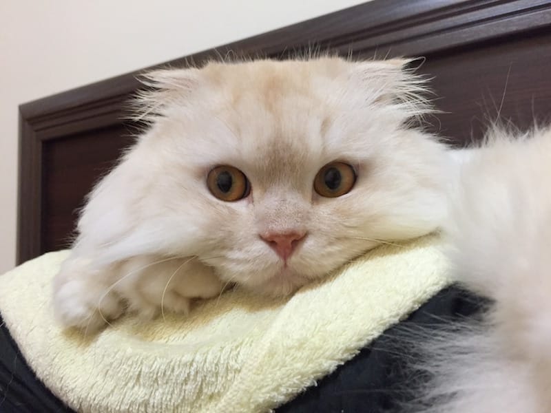 IMG_4947.jpg IMG_4947.jpg