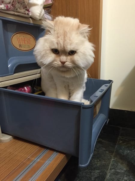 IMG_4397.jpg IMG_4397.jpg