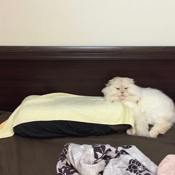 IMG_1867.jpg IMG_1867.jpg