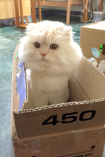 IMG_4685.jpg IMG_4685.jpg