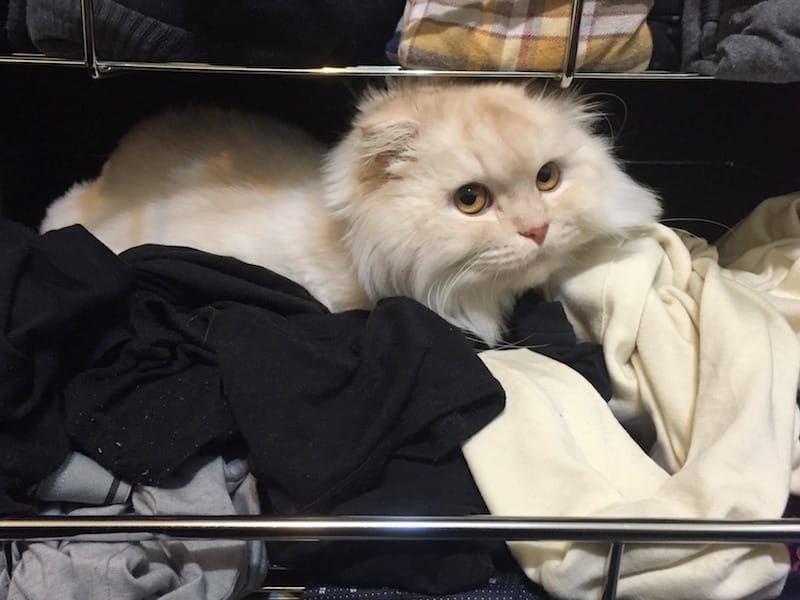 IMG_4690.jpg IMG_4690.jpg