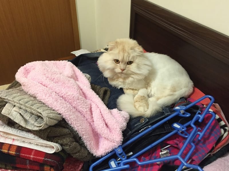 IMG_4629.jpg IMG_4629.jpg