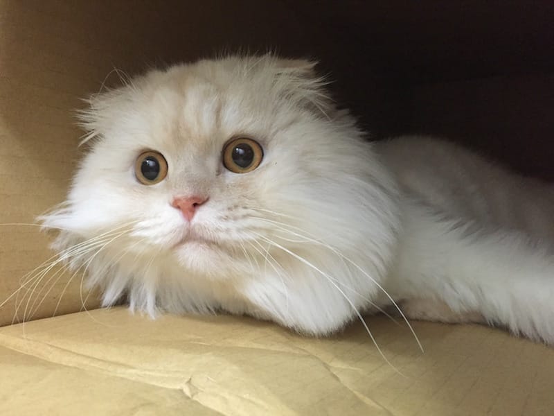 IMG_4803.jpg IMG_4803.jpg