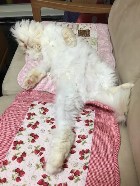 IMG_1856.jpg IMG_1856.jpg