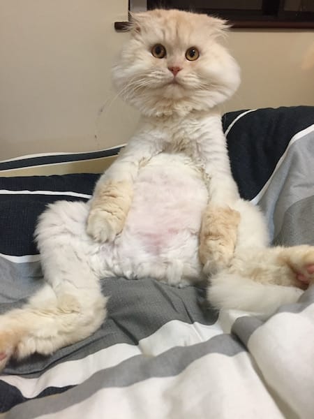 IMG_4555.jpg IMG_4555.jpg