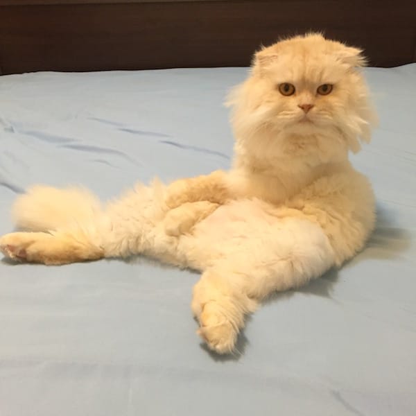 IMG_5164.jpg IMG_5164.jpg