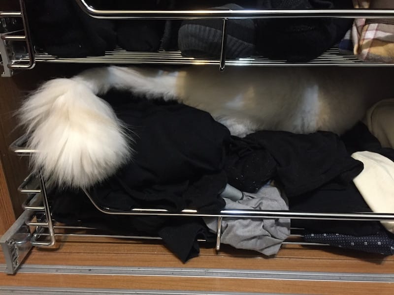 IMG_4688.jpg IMG_4688.jpg