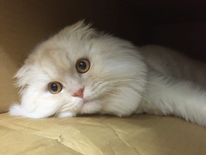 IMG_4804.jpg IMG_4804.jpg