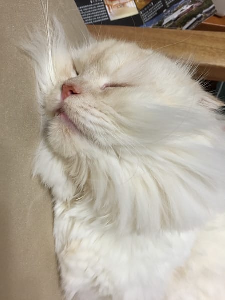 IMG_1863.jpg IMG_1863.jpg