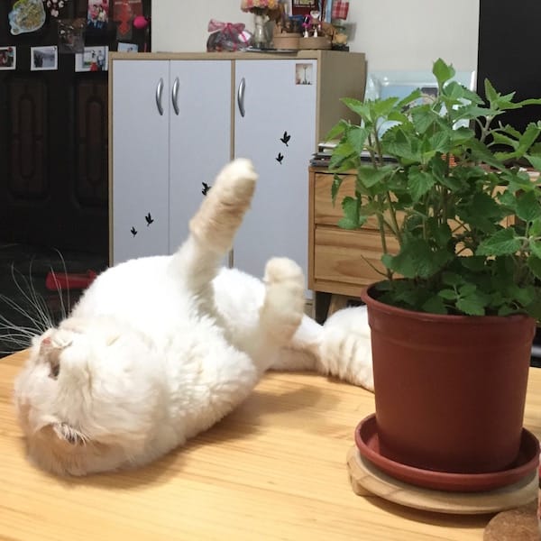 IMG_4722.jpg IMG_4722.jpg