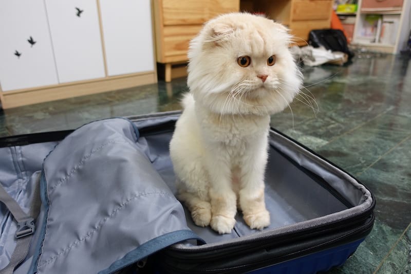 DSC00444.JPG DSC00444.JPG